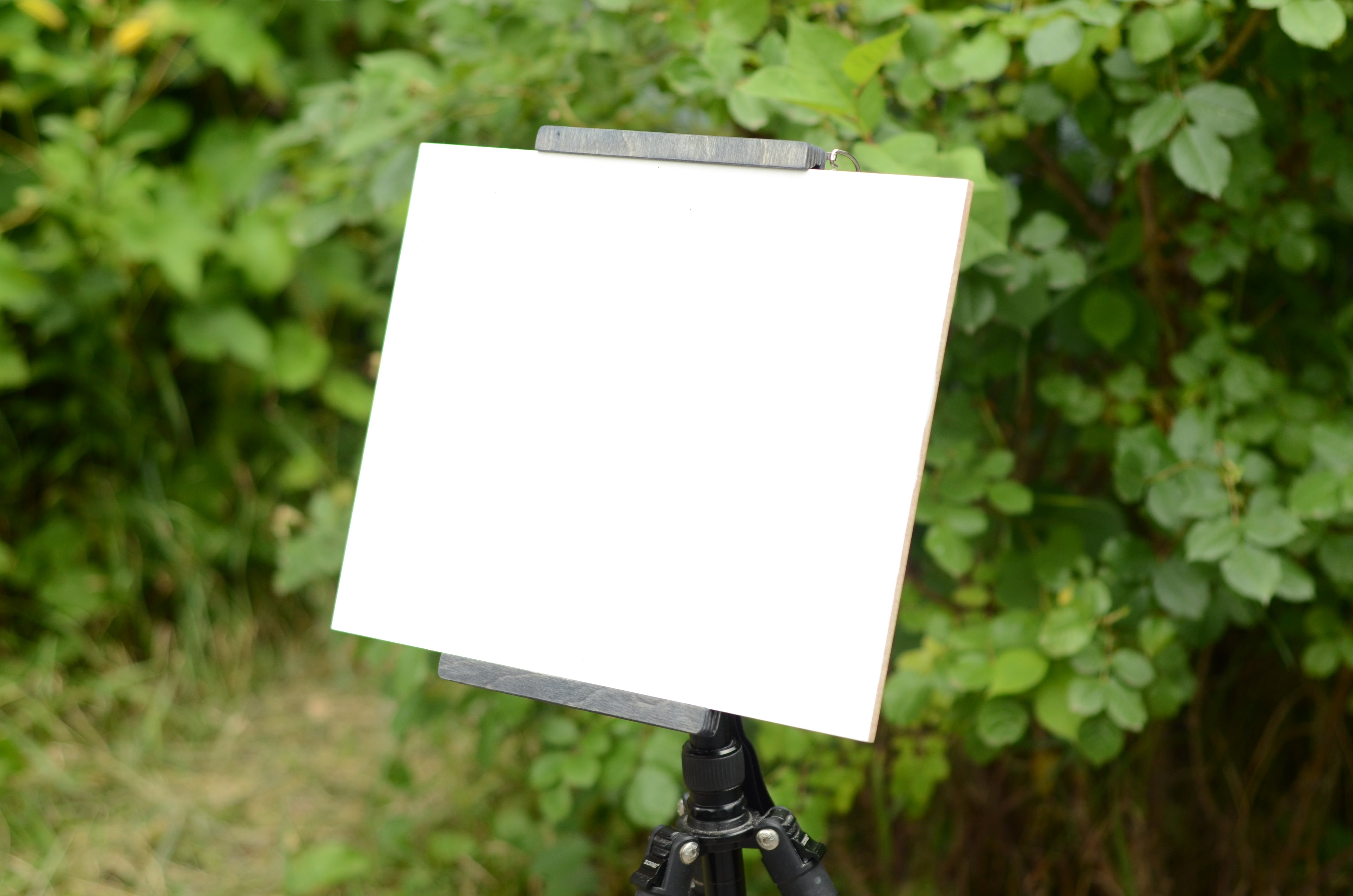 Tripod easel and wet panel carrier